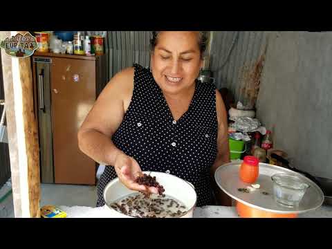 como hacer salsa de chicatanas insectos comestibles | recoleccion de hormiga comestible