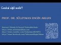 Prof. Dr. Süleyman Engin Akhan Prof. Dr. Süleyman Engin Akhan