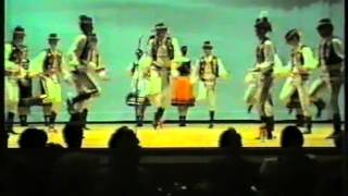 DIMITROVEC  1987  zamutov