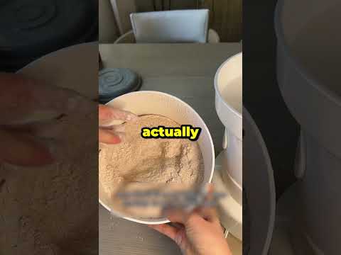 Ezekiel Bread Creation 🍞