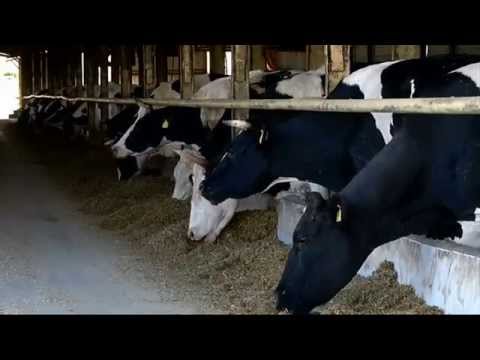 Al Jazeera Svijet - Nedjelja 21:30