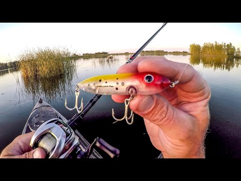 Let's Catch Some Topwater Smallies!