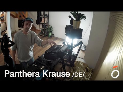 Panthera Krause