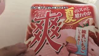 爽　練乳いちご＜夏期限定＞　【vlog　vtuber　youtuber　食べてみた　ぱんまつり/しののめあきな】