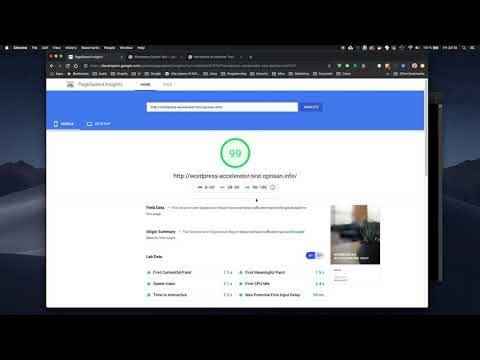 Wordpress Page Load Speed on cPanel vs custom solution