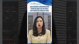 Aksi Pemuda yang Nekat Pakai Baju Hijau & Tantang Ombak di Pantai Selatan Jawa, SAR Buka Suara