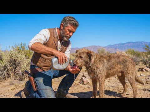 Lost in the Desert: A Cowboy  Gave His Last Water to a Dog (Unbelievable Ending)