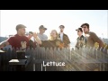 Lettuce - Ziggowatt