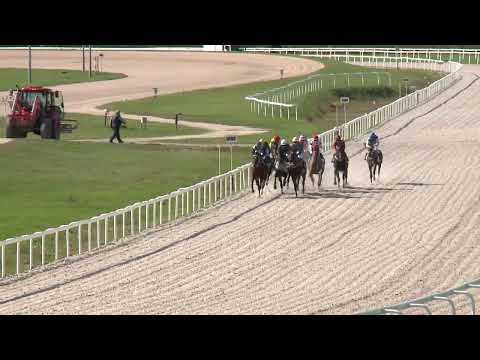 2022.10.02. 03. futam - NYERETLEN KÉTÉVESEK VERSENYE (IV.kat.) II.rész (szintetikus pálya)