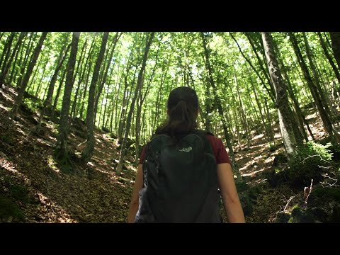 Bosques de Cervera de Pisuerga, Tejada de Tosande y Roblón de Estalaya | MONTAÑA PALENTINA