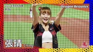 【台湾チア】張晴 Ching / Dragon Beauties小龍女 / 2023年見到啦啦隊 #36 [中文歌詞]