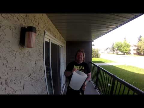 ice water challenge