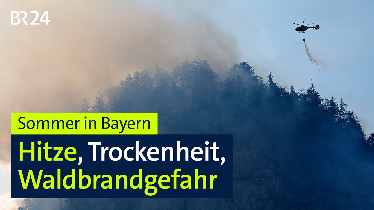 Sommer in Bayern: Hitze, Trockenheit, Waldbrandgefahr | BR24
