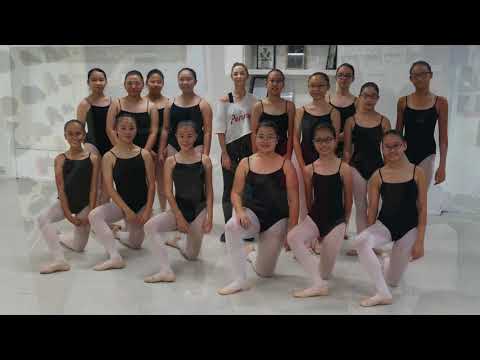 Brisbane Dance Exchange Dec 2017 - Highlight