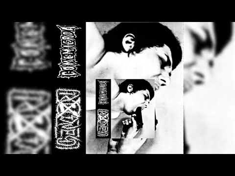 Changoz / Comemierda - Split (2019)(Album Completo - Noisecore)