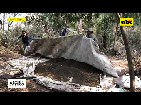 Crime and Punishment: Marijuana and hashish seized in Captain Bado