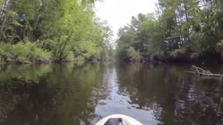 preview picture of video 'Kayaking on Blackwater River Sunday 7/28/2013'