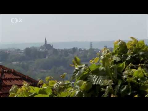 Raport o Velké válce - Návrat ztracených (11/12)