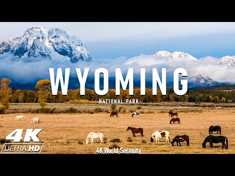 Wyoming 4K Relaxation Film | Grand Teton National Park | Yellowstone with Calming Music