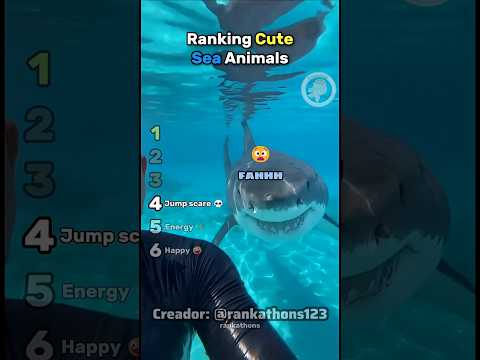 Animales Alegres😄👉👈/FANDUB #ranking #animals #animalesgraciosos #humor #doblaje #viral #shorts
