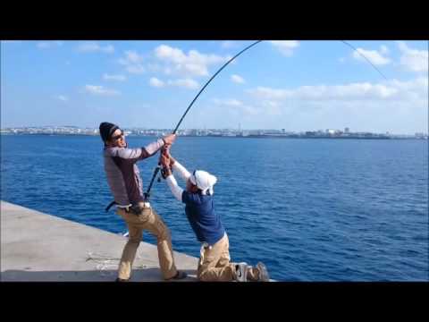 那覇一文字新堤　 巨魚？推定70kgと対決!!剛徹5号+ステラ30000　しにやっけ～やたん撮影：宗光た～次男坊 (釣吉害)