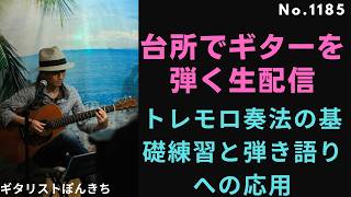 トレモロ奏法の基礎練習と弾き語りへの応用
