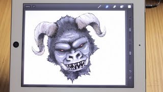 Procreate – video review