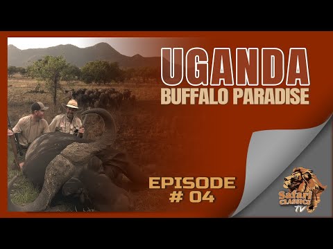 Uganda - Buffalo Paradise | Safari Classics TV Podcast Ep 4