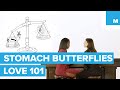 The Science Behind Butterflies | Love 101