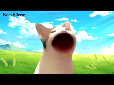 Blue Bird | Pop Cat COMPLETO