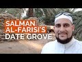 A Walk Through Salman Al Farisi's Date Grove in Madinah