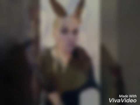 Trio RIS - PANDA, 2017  Трио РИС - Панда, 2017