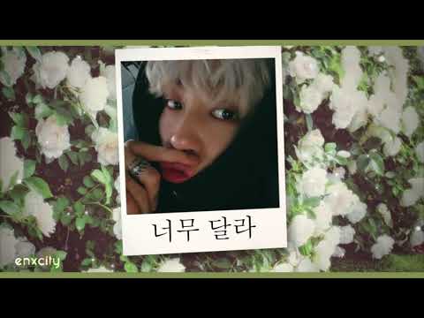 $$$ // Woosung [the rose]