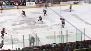 Gulls vs. Roadrunners | Mar. 11, 2020