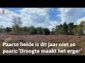 'Dit is funest voor de natuur' | RTV Utrecht