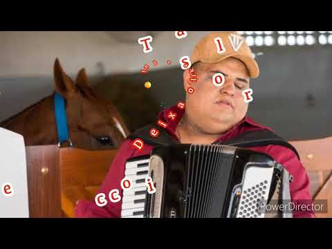 Tarcísio do acordeon - avisa a ele - música nova🎶🎶🎶