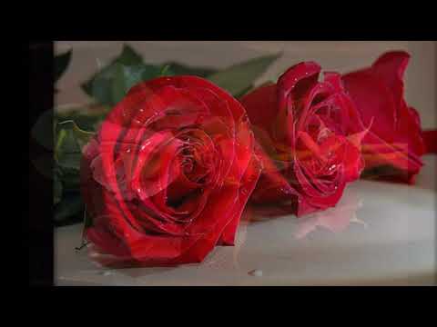 JT Taylor - Romancia