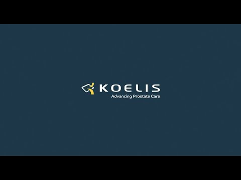 KOELIS - cognitive versus elastic fusion