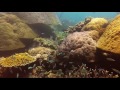 Tauchen Bali, Gili Mimpang und Gili Tepekong mit Orca Dive Club vom 18. April bis 24. April 2017, ORCA Diveclub Candidasa, Bali, Indonesien, Bali