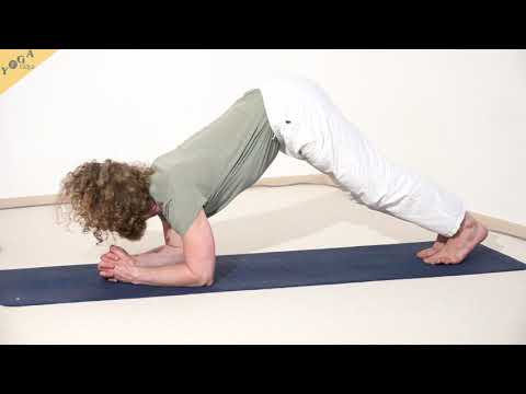 Delfin - Yoga Asana Lexikon