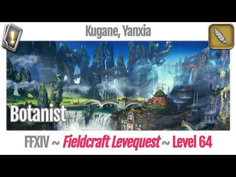 FFXIV Botanist Leves Level 64 - Kugane, Yanxia - Stormblood