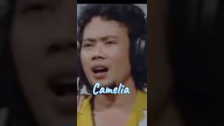 Download lagu CAMELIA #shorts mp3