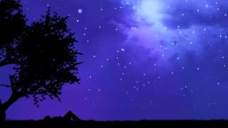 The Birthday Massacre - Pins and Needles [Skold Mix]