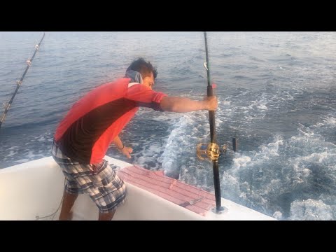 The Fish of a Lifetime | 9ft Blue Marlin Battle in Zihuatanejo, Mexico