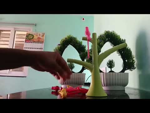 A Small Flower Vase/ Havila Gudeti/