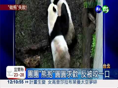 有"性"致沒經驗 團.圓洞房失敗