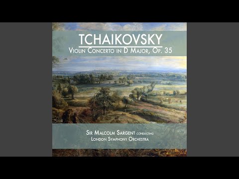 Violin Concerto in D Major, Op. 35: I. Allegro moderato