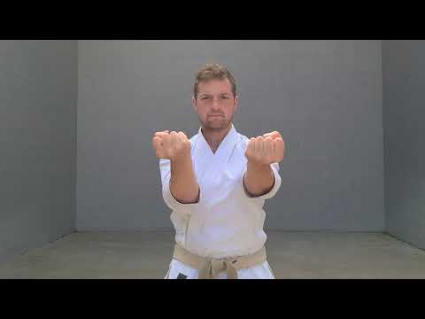 Karate Moves | MOROTE UKE - DOUBLE MIDDLE BLOCK