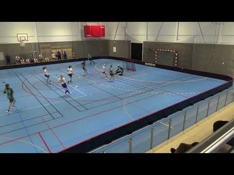 Umeå Västra IBK  -  Luleå SK