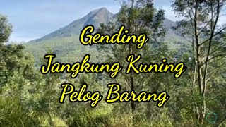 Download lagu Gending Jangkung Kuning Pl.Br mp3